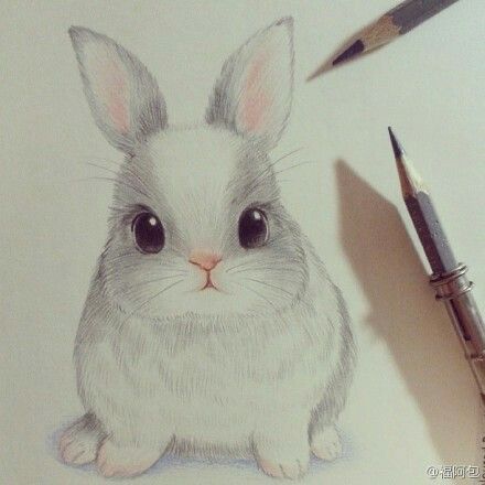 440x440 Cute Drawing Of A Bunny