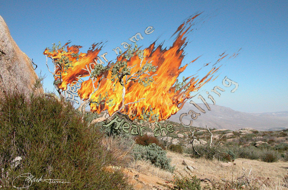 995x657 All Our Voices The Spirit In Art The Burning Bush