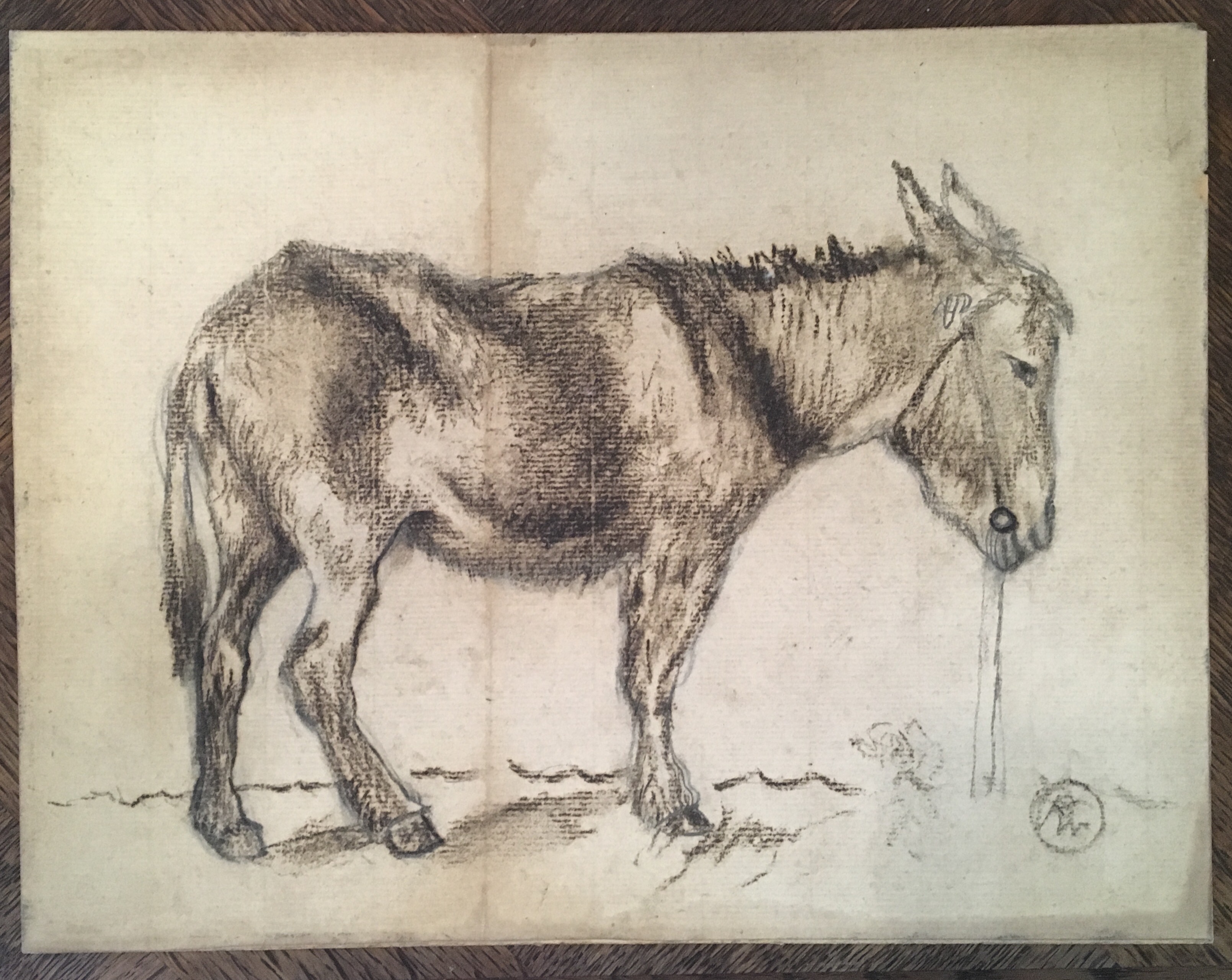 3218x2559 American Or South American Drawing The Burro, Early 20th Century
