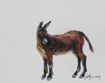 340x270 Burro Drawing Etsy