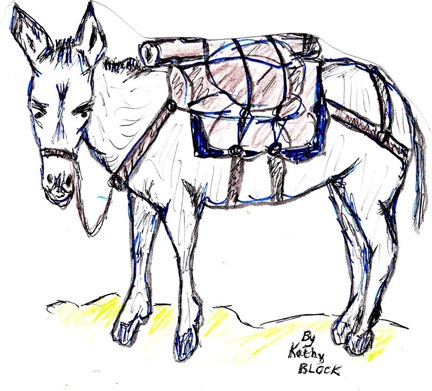 432x391 Burros, Donkeys, And Mules Their Uses By Man Wickenburg