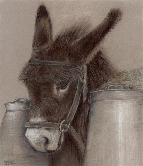 474x550 Pin By Carol Ann On Horses And Donkeys Wooden