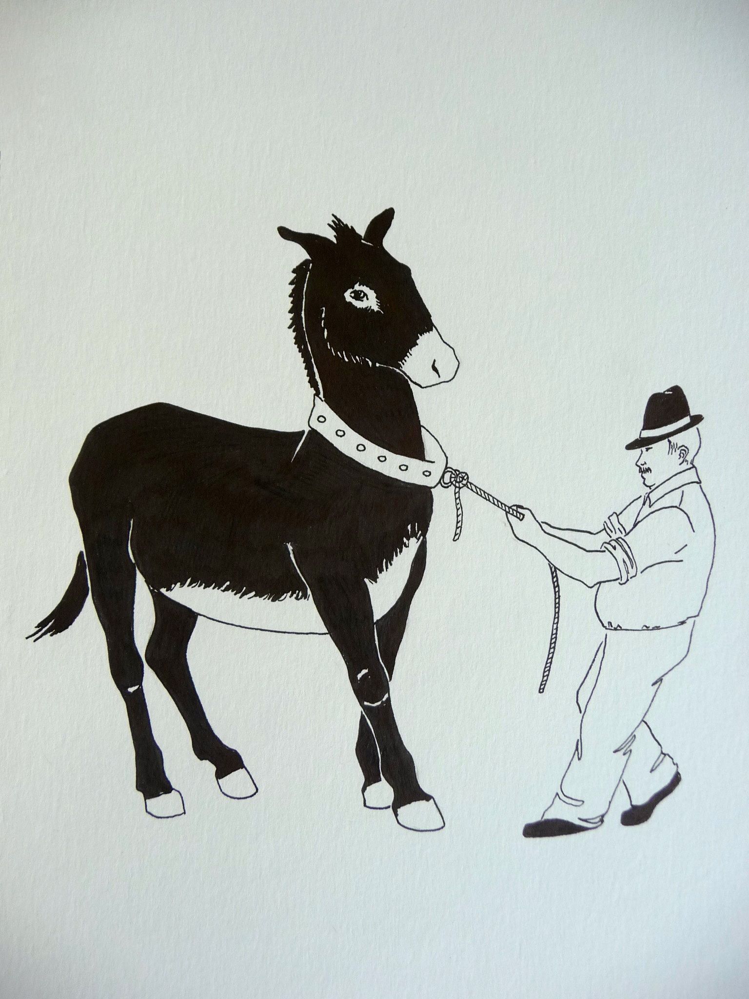 1536x2048 Spanish Sayings Vi Refranes Vi Palmira Quintana