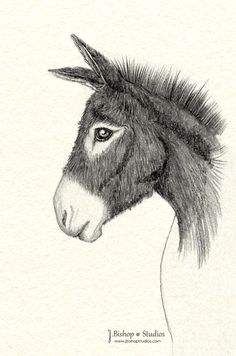 236x356 How To Draw A Donkey Drawing Tips Donkey, Draw
