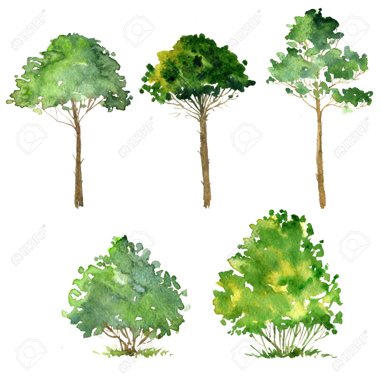 1300x1300 Set Of Trees Drawing By Watercolor, Bushes And Pines, Green Green
