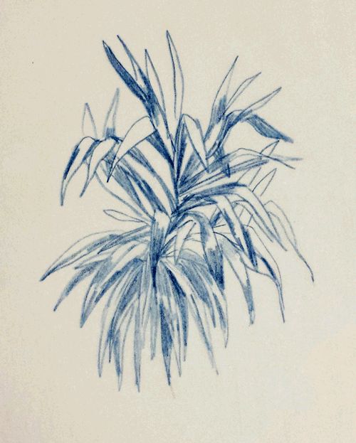 500x623 183 Best Pencil Drawings Images On Drawings In Pencil