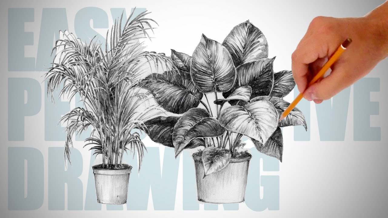 1280x720 How To Draw Plants