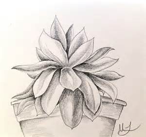 300x281 Pencil Drawings Of Plants