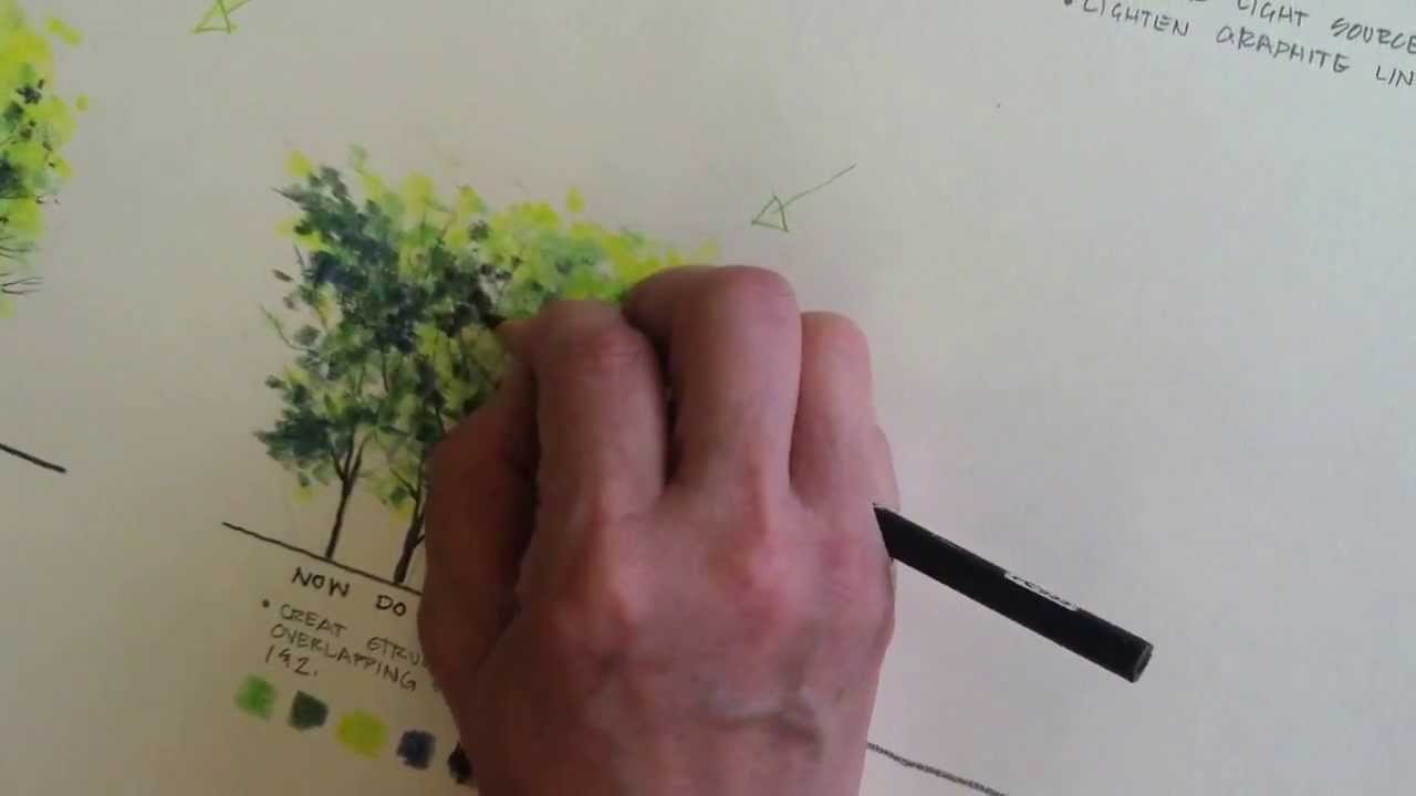 1280x720 Rendering Trees Using Colored Pencil