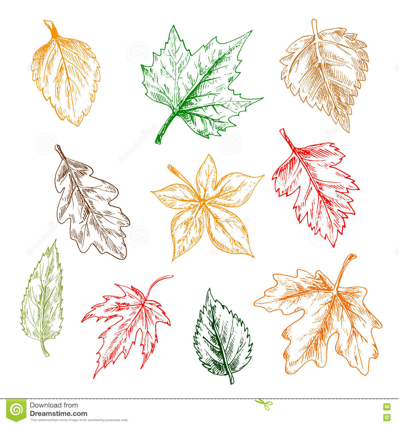1300x1390 Trees And Plants Leaves Pencil Sketch Set Stock Vector