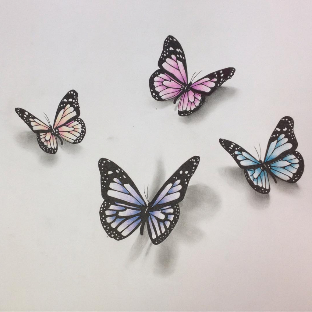 1024x1024 Realistic Butterflies Drawings Ideas Of A Realistic Drawing