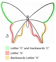 236x260 Steps To Draw A Butterfly How To Draw A Butterfly, Step By Step