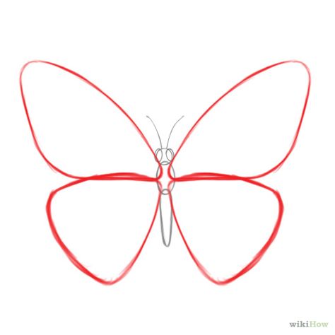 474x474 Easy Drawing A Butterfly