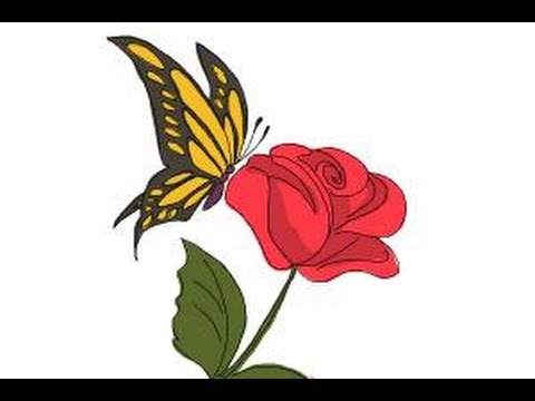 480x360 How To Draw A Butterfly On A Flower