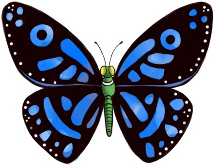 440x340 How To Draw A Butterfly