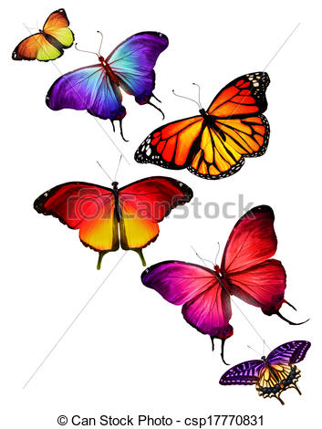 353x470 Many Different Butterflies Flying, Isolated On White Drawings