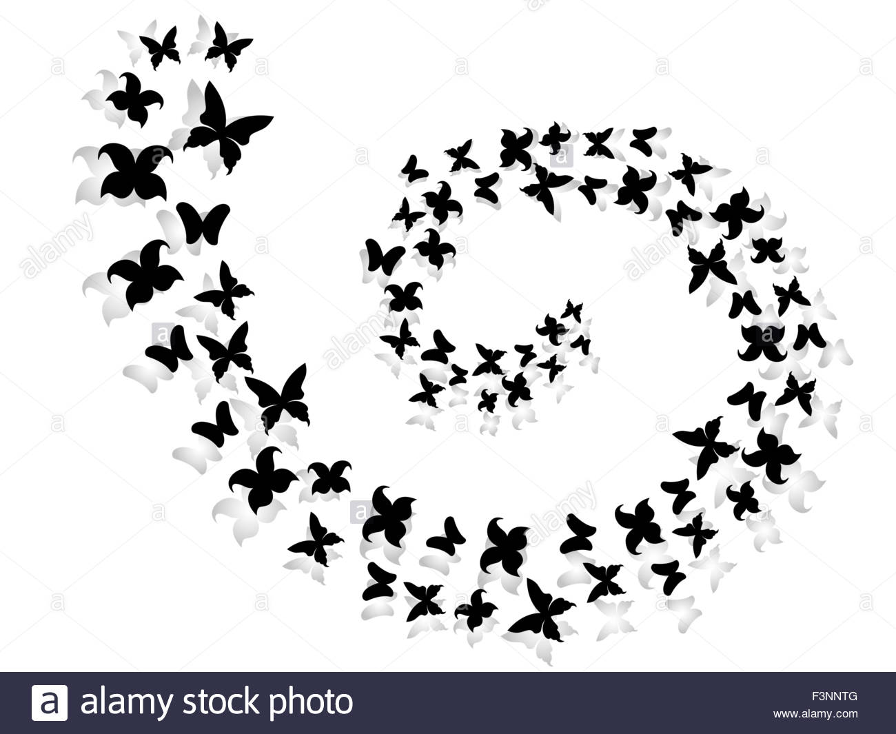 1300x1065 Spiral Of Black And Gray Flying Butterflies, Hand Drawing Vector
