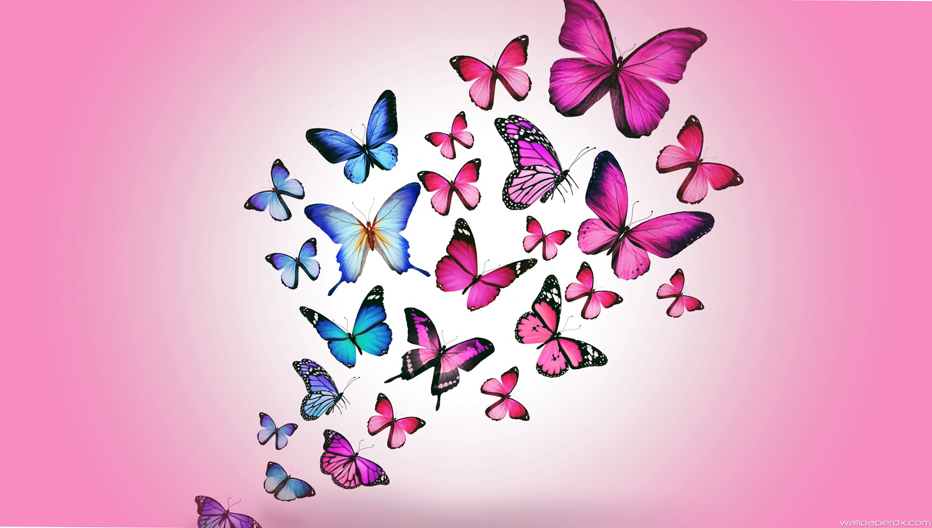 Butterflies Flying Drawing at GetDrawings | Free download