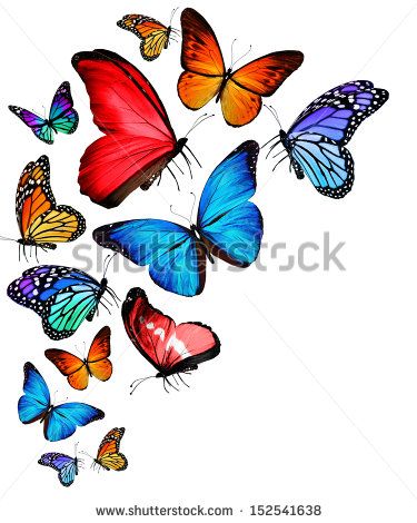 375x470 How To Draw Butterflies Flying