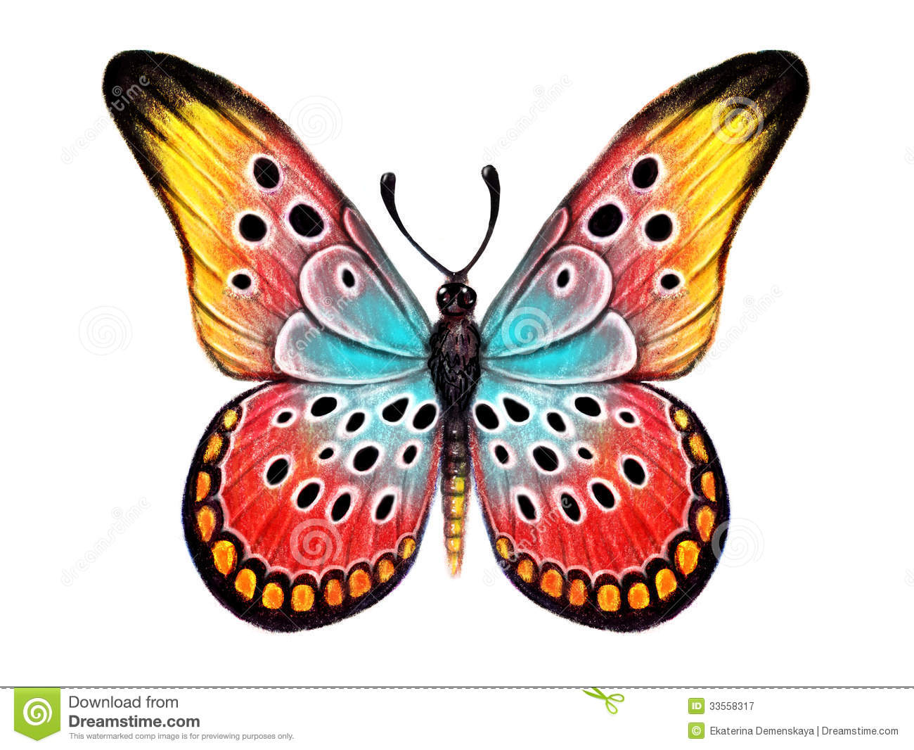 1300x1066 How To Draw Butterflies Flying