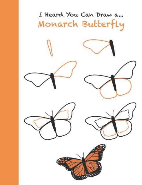 490x639 How To Draw A Monarch Butterfly Step By Step! Use In Science