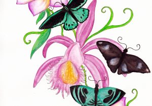 300x210 Drawings Of Butterflies And Flowers