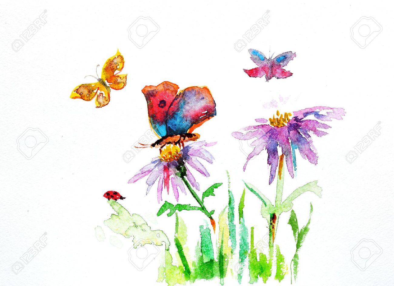 1300x944 Watercolor Drawing Of A Flower With A Butterfly Stock Photo