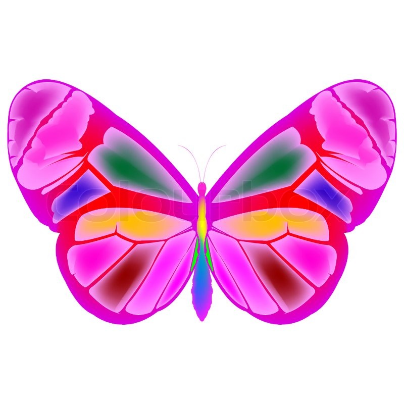 800x800 Butterfly Cartoon Drawing, Art Illustration Stock Photo Colourbox