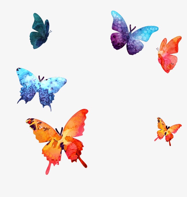 650x686 Cartoon Drawing Butterfly, Cartoon, Watercolor, Butterfly Png