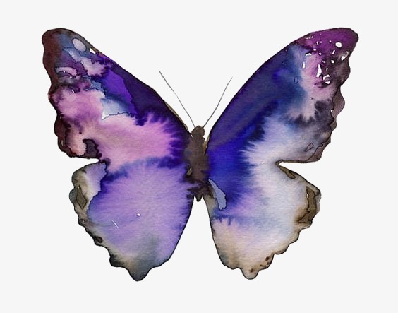 564x443 Purple Butterfly, Creative Butterfly, Drawing Butterfly, Cartoon