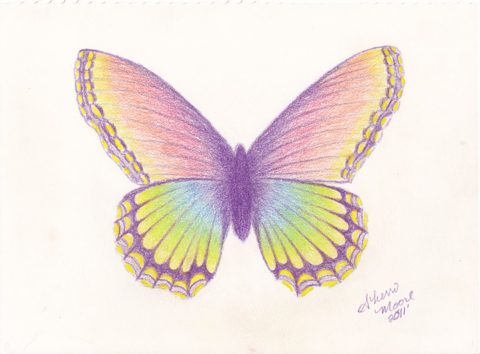 1600x1180 Butterfly Drawings, Art Ideas Design Trends