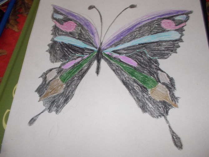 670x503 2 Ways To Draw A Butterfly Step By Step