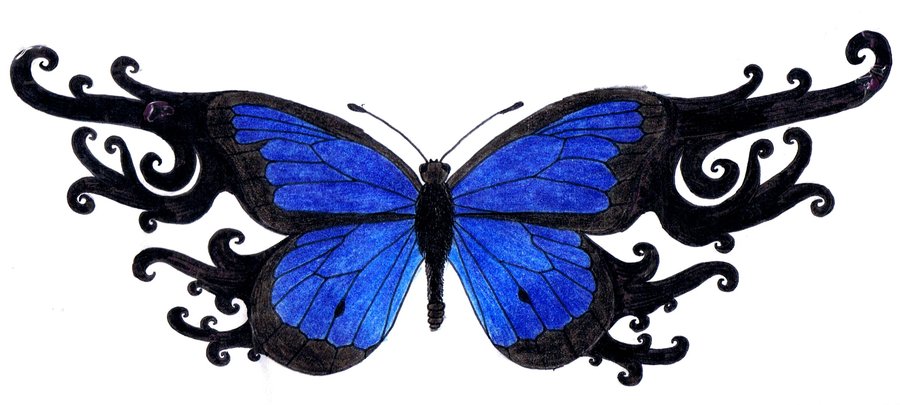 900x405 Blue Butterfly Tattoo By 3mmmmma