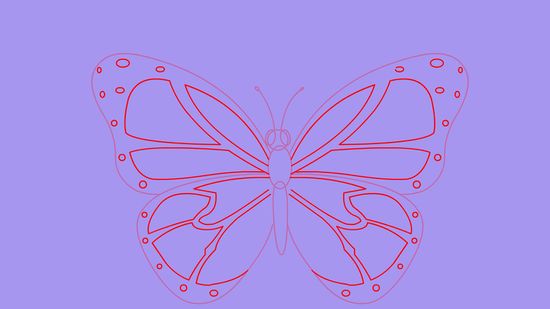 550x309 2 Ways To Draw A Butterfly Step By Step