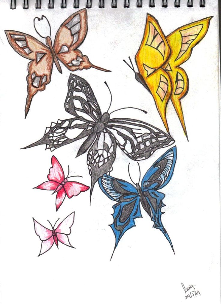 736x1012 30 Best Butterfly Drawing Images On Butterflies, How
