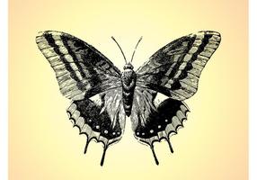 286x200 Hand Drawn Butterfly Free Vector Art