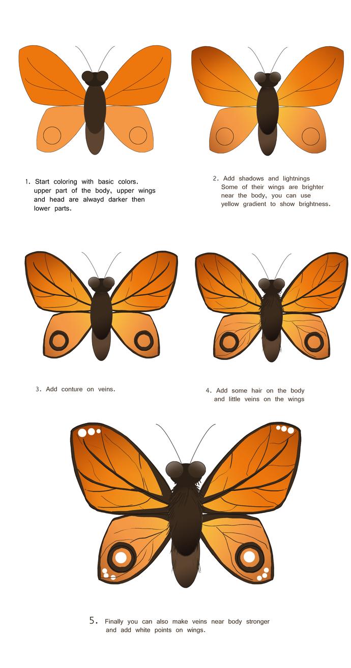 690x1314 How To Draw A Butterfly Drawing Freelancer Blog