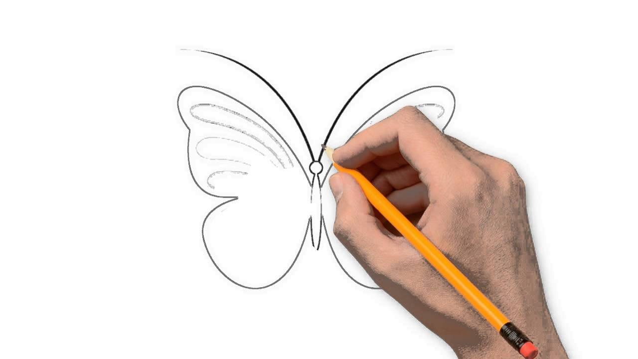 1280x720 Simple Butterfly Drawings In Pencil