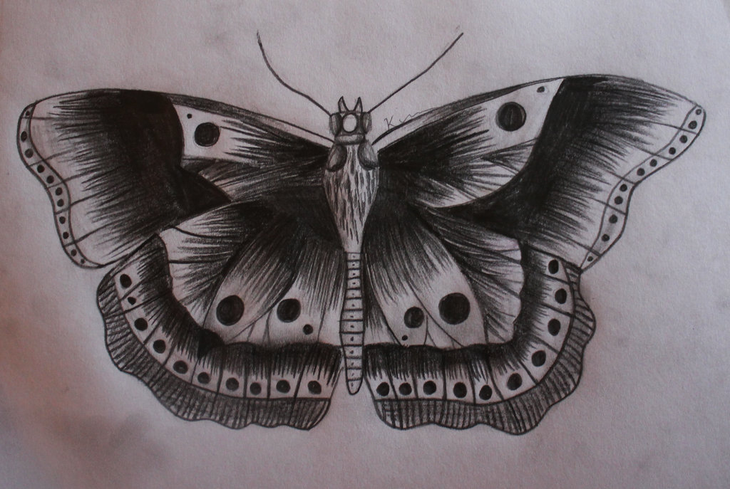 1024x687 Butterfly Tattoo Harry Styles By Kimmuurt