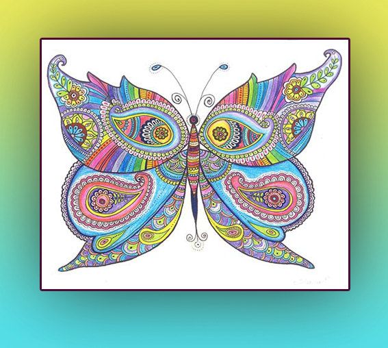 567x508 Butterfly Original Zentangle Art Drawing Rainbow By Dhanadesign