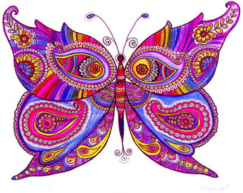 340x270 Butterfly Drawing Etsy