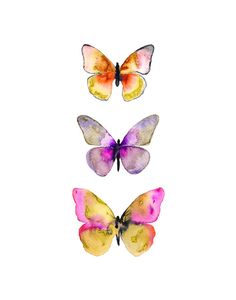 236x300 Details About Moth Butterfly Insect Art Decorative French