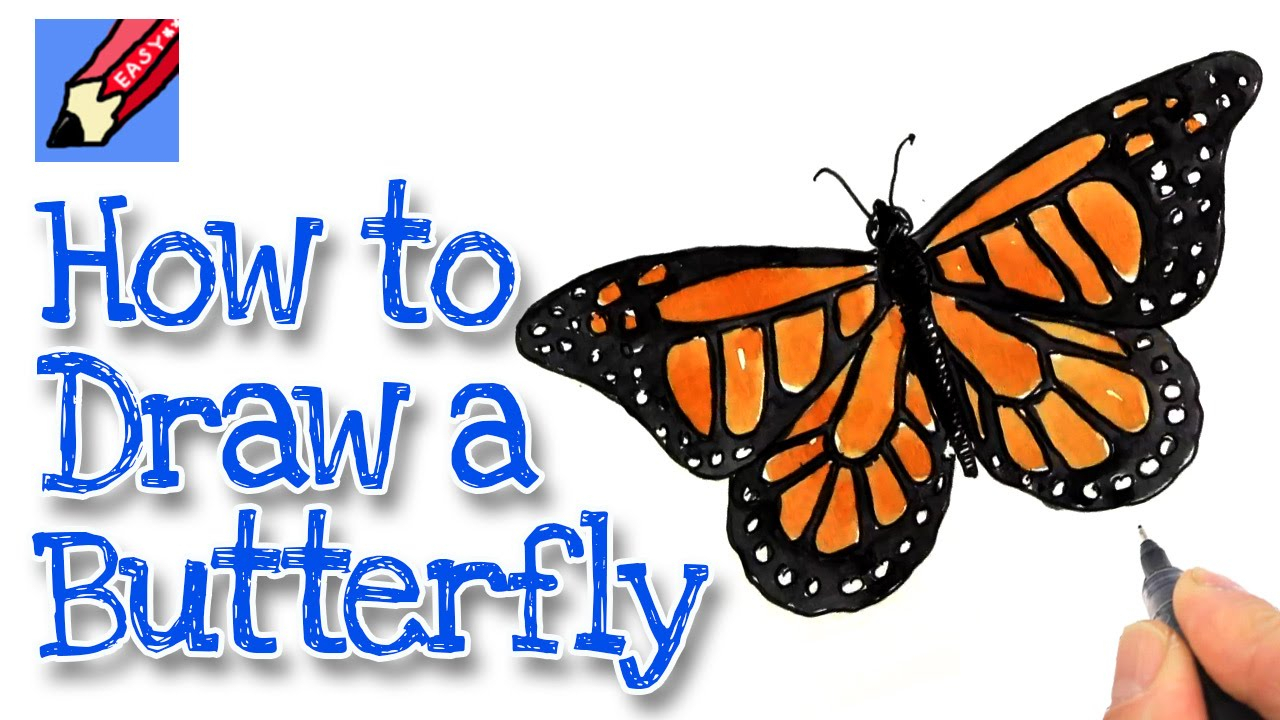 1280x720 Easy Drawings Of Butterflies How To Draw A Butterfly Easy Stepstep