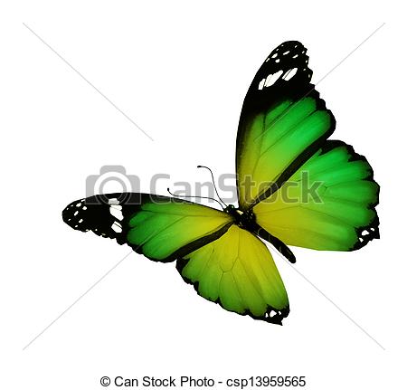 450x431 Green Yellow Butterfly Flying, Isolated On White Background Stock
