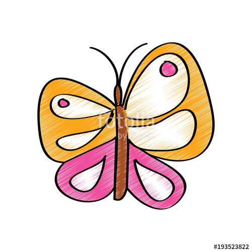 500x500 Cute Butterfly Flying Insect Nature Vector Illustration Drawing