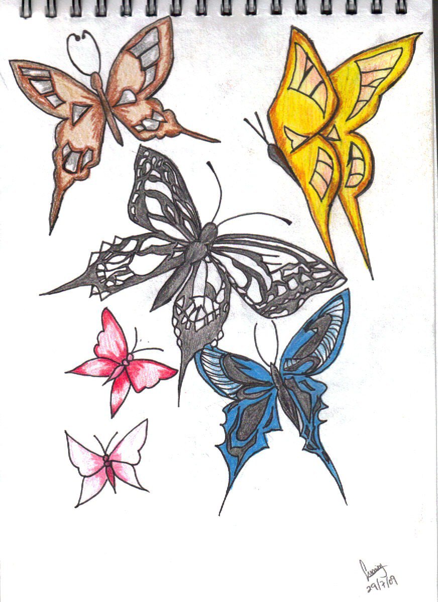 872x1199 Butterfly Drawing By Sumiko90