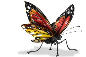 300x200 How To Draw A Butterfly On A Flower