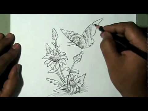480x360 How To Draw Beautiful Flower And Butterfly Yzarts Yzarts