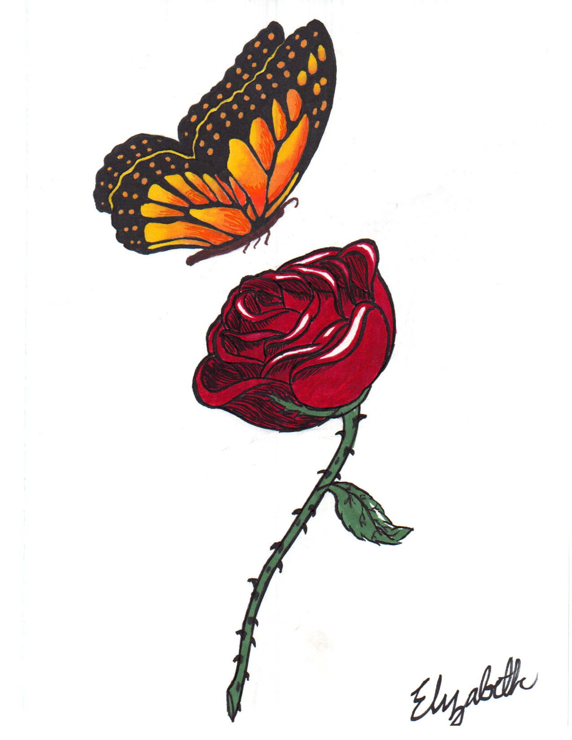 1912x2475 Rose And Butterfly Drawing Butterfly Drawings, Art Ideas