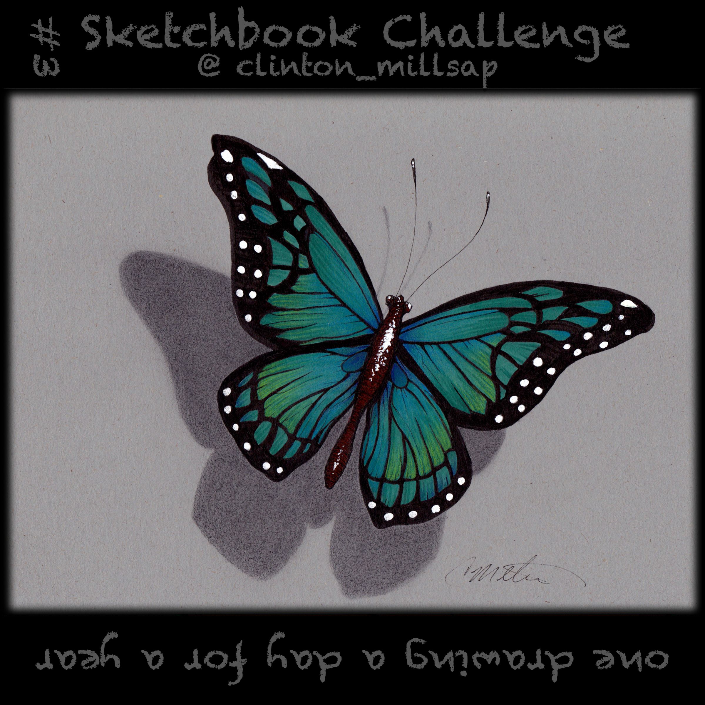 2399x2399 Butterfly Drawing 3d Shadow